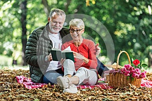 Senior couple having a picnic in park