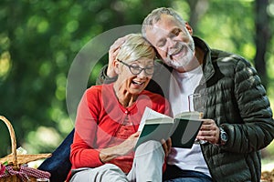 Senior couple having a picnic in park