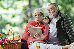 Senior couple having a picnic in park make video call using digital tablet