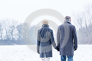 Senior couple having winter walk