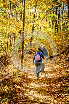 Senior couple hiking