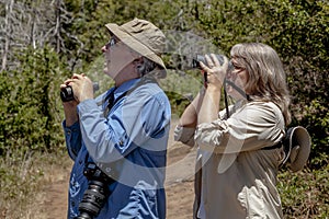 Senior Couple Hiking and Birdwatching in Woods on a Sunny Day