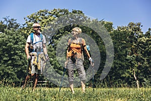 Senior couple hiking in forest wearing backpacks and hiking poles. Nordic walking, trekking.