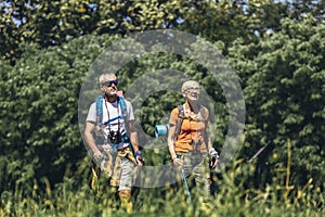 Senior couple hiking in forest wearing backpacks and hiking poles. Nordic walking, trekking.
