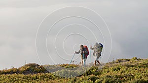 Senior couple hiking with trekking poles on summer day