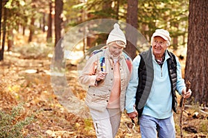 Senior couple hold hands hiking in a forest, California, USA photo