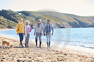 Senior Couple Hold Hands Walking Along Shoreline With Adult Offspring And Dog On Winter Beach Vacation