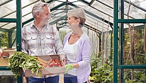Senior Couple Holding Box Of Home Grown Vegetables In Greenhouse
