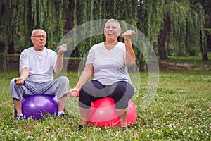 Senior couple holding dumbbells while sitting on exercise ball i