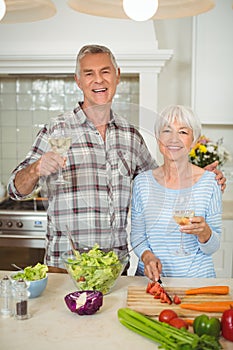Senior couple holding glasses of wine
