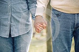 Senior couple holding hands over nature background