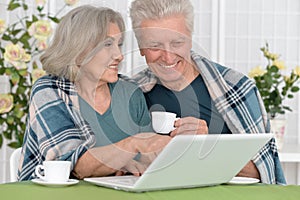 Senior couple with laptop