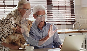 Senior couple, laptop and kitchen for video call with cat, wave and speaking to grandkids. Tech, web communication and