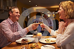 Senior couple making a toast at a meal in a restaurant