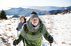 Senior couple with nordic walking poles hiking in snow-covered winter nature.