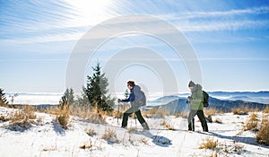 Senior couple with nordic walking poles hiking in snow-covered winter nature.