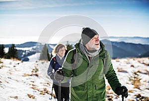 Senior couple with nordic walking poles hiking in snow-covered winter nature.