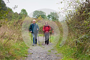 Senior couple Nordic walking on the trail in nature