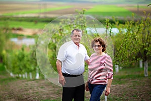 Senior couple outdoor in orchard