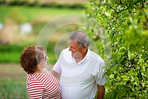 Senior couple outdoor in orchard