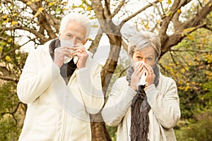 Senior couple in the park