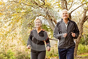 Senior couple in the park