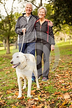 Senior couple in the park with dog