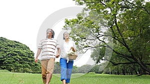 Senior couple people enjoying in spring day in nature and going on picnic with happy emotion.