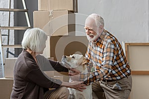 Senior couple petting dog in new