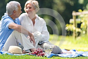 Senior couple picnicking outdoors smiling photo