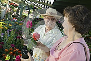 Senior Couple At The Plant Nursery