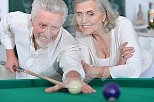 Senior couple playing billiard