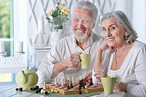 Senior couple playing chess