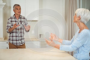 Senior couple quarrelling with each other