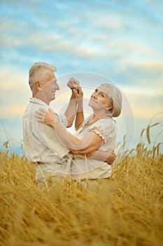 Senior couple resting at summer field