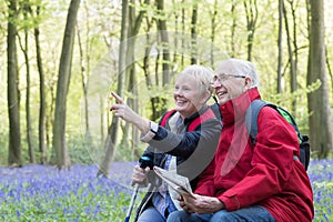 Senior Couple Resting On Walk Through Bluebell Wood