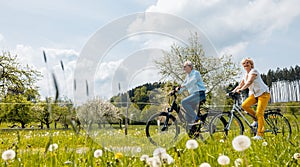 Senior couple riding bicycles in spring