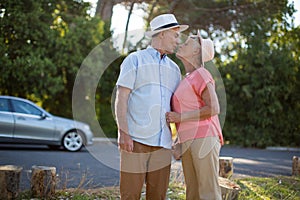 Senior couple romancing at roadside