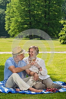 Senior couple on romantic picnic sunny day