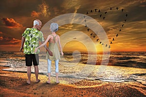 Senior Couple, Sex, Love, Romance, Nature
