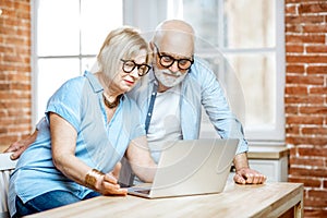 Senior couple shopping online