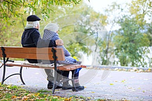 Senior couple sitting on bench in park