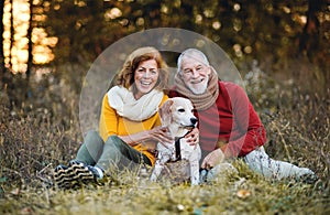 A senior couple sitting on a grass with a dog in an autumn nature at sunset.