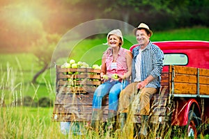 Senior couple sitting in pickup truck, apple harvest