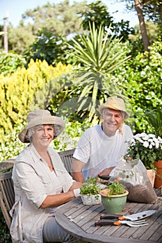 Senior couple sitting in their garden