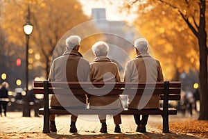 a senior couple sitting on a wooden bench in the autumn park