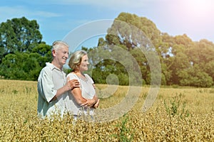 Senior couple at summer field during vacation