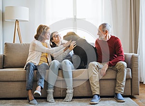 A senior couple with a teenage girl sitting on a sofa with dog at home.