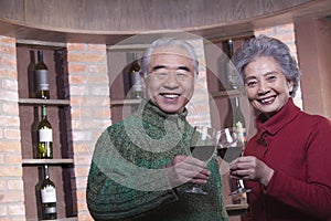 Senior Couple Toasting with Wine Glass