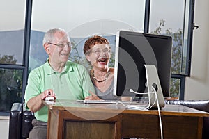 Senior couple using computer